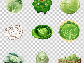 綠色健康生活 蔬菜圖庫(kù)素材大全與實(shí)用指南