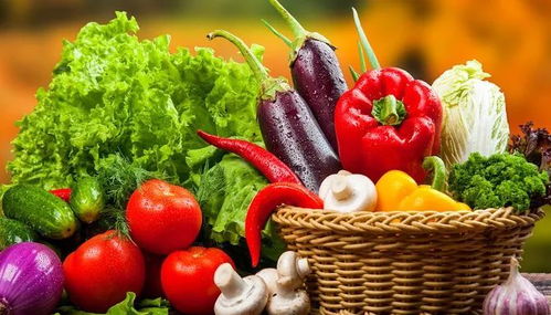 垃圾分類新潮流 苗木廢棄物如何處理？生活垃圾分類實(shí)用小妙招